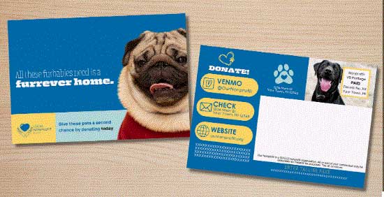 Non-Profit Postcard Mailing